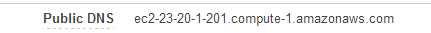 publicDNS